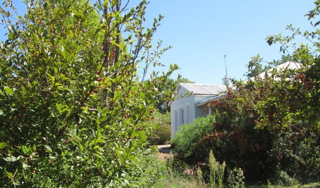 Impangele Guest House Swellendam Phòng bức ảnh